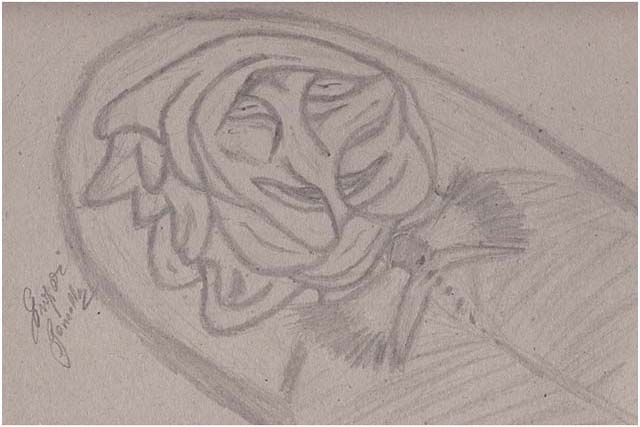 Barga Daily Image – 2 October 2007