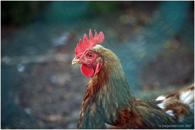 Barga Daily Image – 20 October 2007