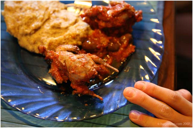 Barga Daily Image – 29 December 2007