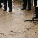 {barganews} New Lebanese Cedar tree planted