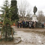 {barganews} New Lebanese Cedar tree planted
