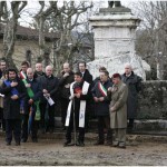 {barganews} New Lebanese Cedar tree planted