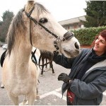 {barganews} Don Stefano blesses the animals