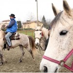 Don Stefano blesses the animals