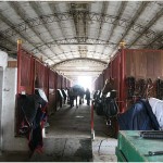 {barganews} Don Stefano blesses the animals