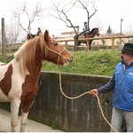 {barganews} Don Stefano blesses the animals