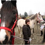 {barganews} Don Stefano blesses the animals