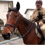 {barganews} Don Stefano blesses the animals