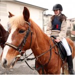 {barganews} Don Stefano blesses the animals