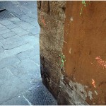 {barganews} carnival in barga the day after