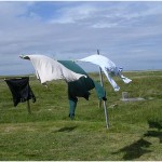 {barganews} Hamish Moore - bagpipes maker in Piazza Angelio