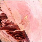 {barganews} The Plane trees around Barga under threat