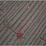 {barganews} carnival in barga the day after