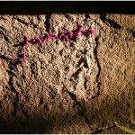 {barganews} carnival in barga the day after