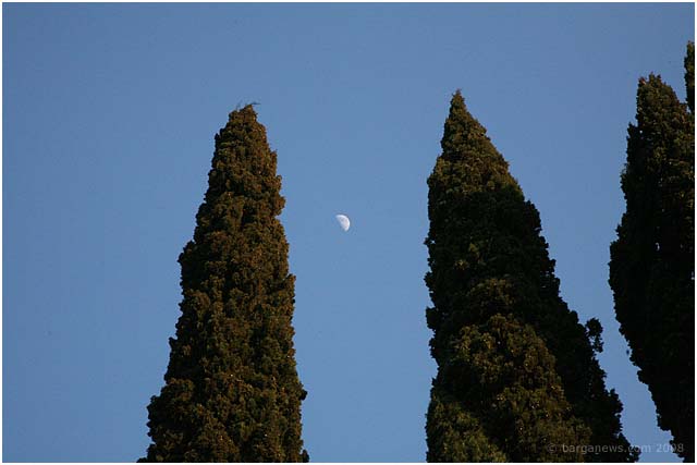 Barga Daily Image – 15 February 2008