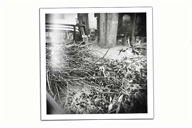 Barga Daily Image – 28 February 2008