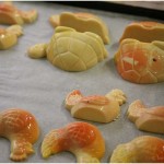 {barganews} Barga at night - Pasticceria Fratelli Lucchesi - Chocolate