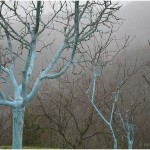 {barganews} What a difference a day makes