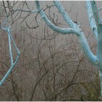 {barganews} What a difference a day makes