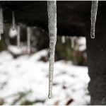 {barganews} What a difference a day makes