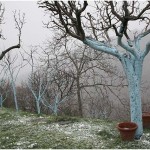 {barganews} What a difference a day makes