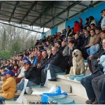 {barganews} Magico Barga