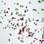 {barganews} New Bridge Fornaci - Gallicano opens to traffic