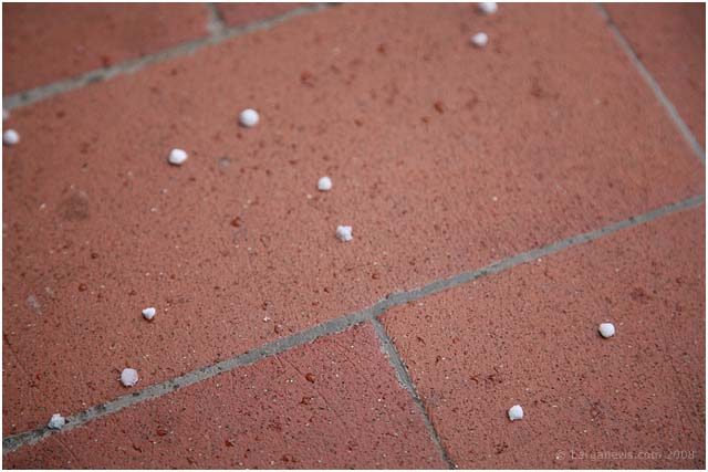 Barga Daily Image – 17 March 2008