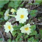 {barganews} What a difference a day makes