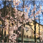 {barganews} What a difference a day makes