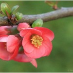 {barganews} What a difference a day makes