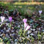 {barganews} What a difference a day makes