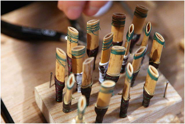 Barga Daily Image – 18 April 2008