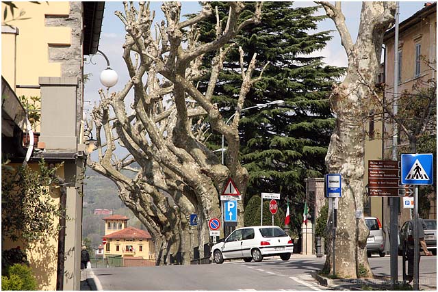 Barga Daily Image – 24 April 2008