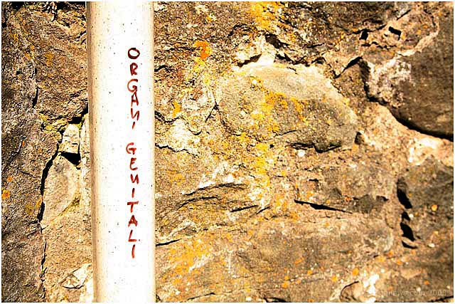 Barga Daily Image – 30 April 2008