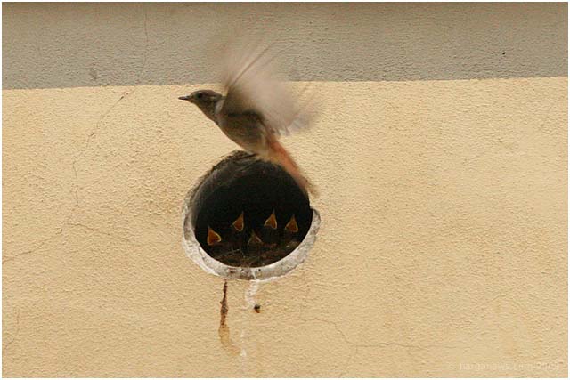 Barga Daily Image – 3 May 2008