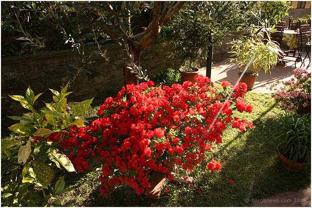 Barga Daily Image – 20 May 2008