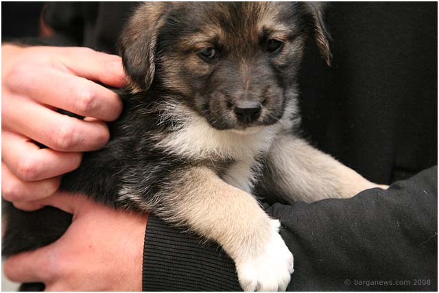 Barga Daily Image – 23 May 2008