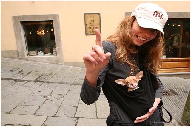 Barga Daily Image – 3 June 2008