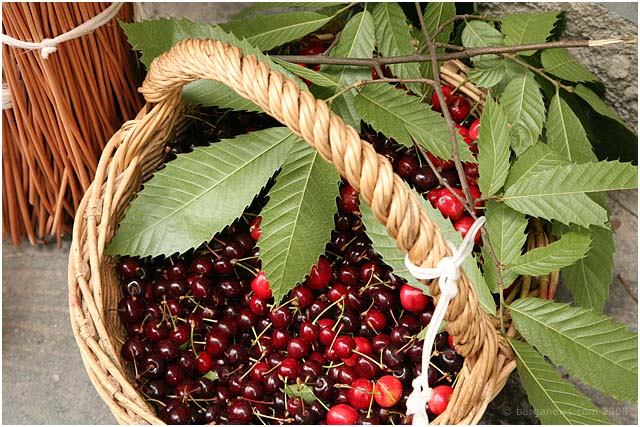 Barga Daily Image – 7 June 2008