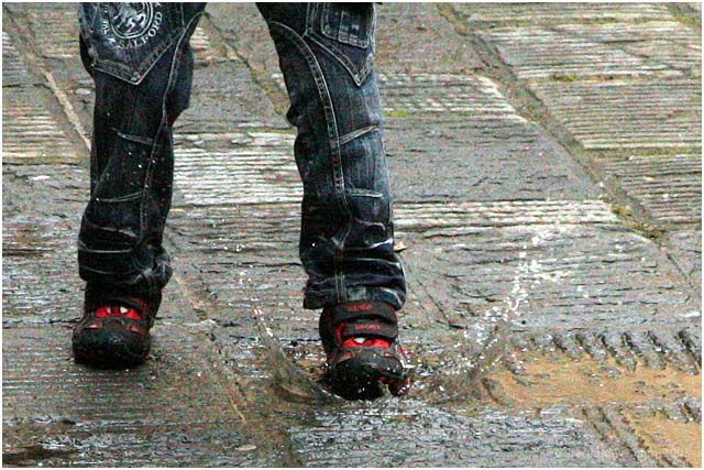 Barga Daily Image – 14 June 2008