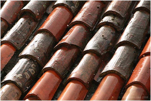 Barga Daily Image – 30 June 2008