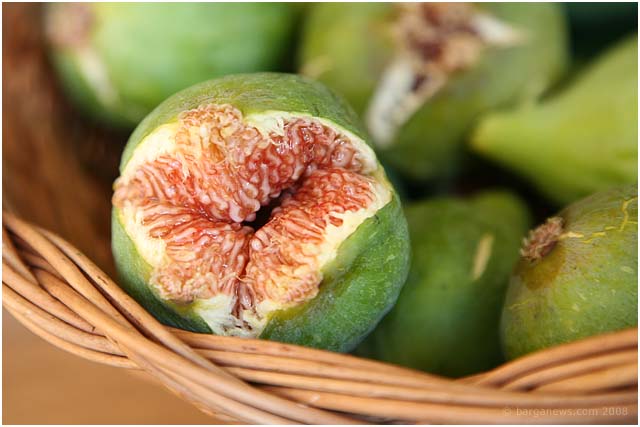 Barga Daily Image – 6 July 2008