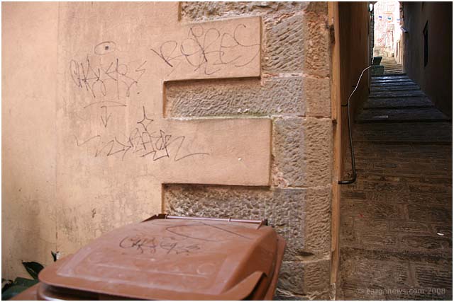 Barga Daily Image – 10 July 2008