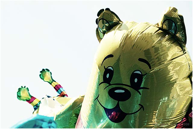 Barga Daily Image – 10 August 2008