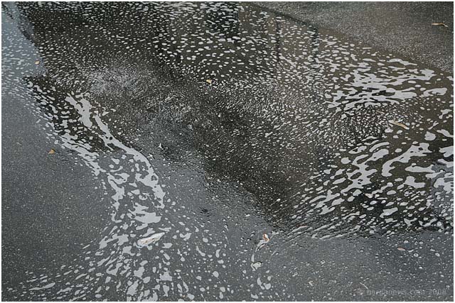 Barga Daily Image – 19 August 2008