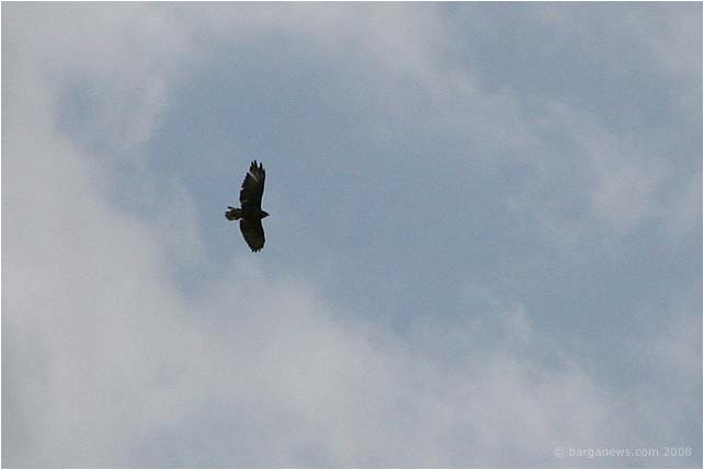 Barga Daily Image – 10 September 2008