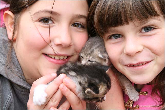 Barga Daily Image – 12 September 2008