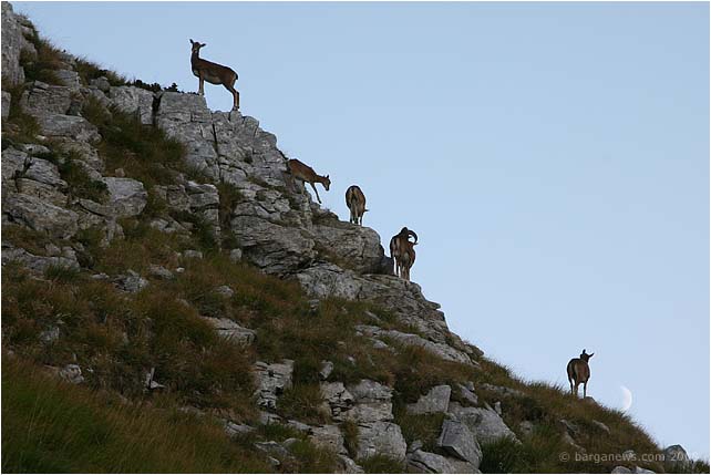 Barga Daily Image – 19 September 2008