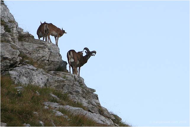 Barga Daily Image – 20 September 2008